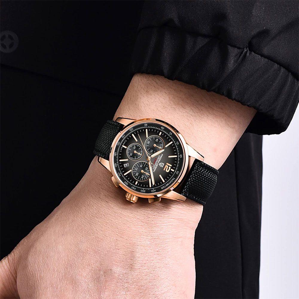 PAGANI DESIGN New Mens Watch 4 - огляд і ціна Luxury Watch Green